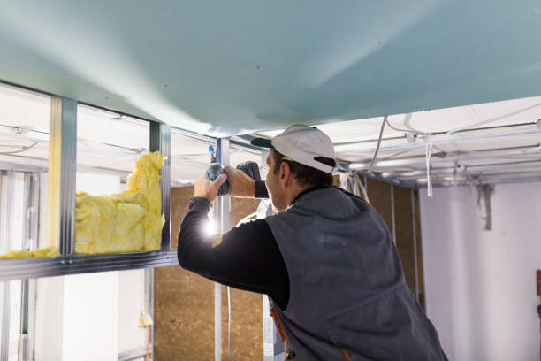 Best Eco-Friendly Insulation in Augusta, ME